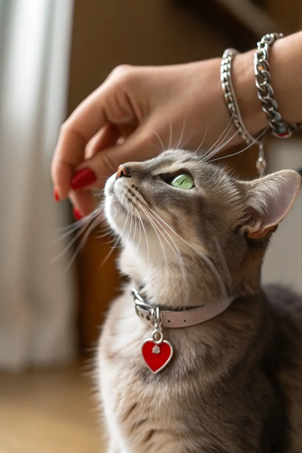 Valentine's Day Affection